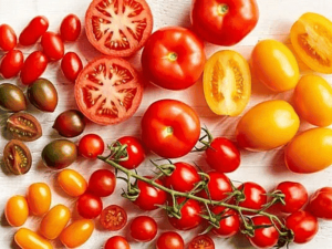 Pomodori di varie tipologie e colori, freschi e maturi, disposti su superficie in stile rustico, perfetti per insalate e ricette estive.