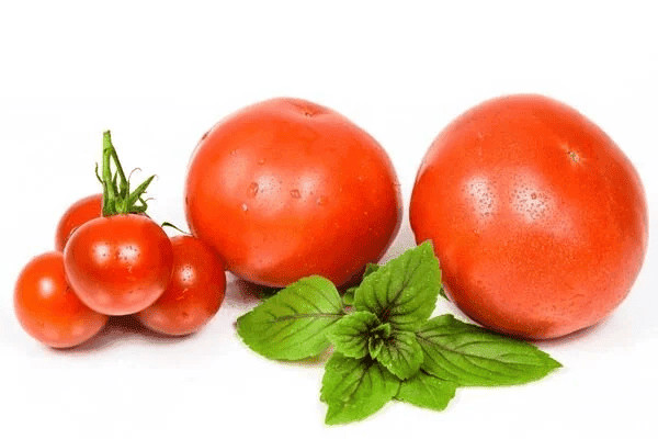 Cosa succede se mangi pomodori ogni giorno, pro e contro