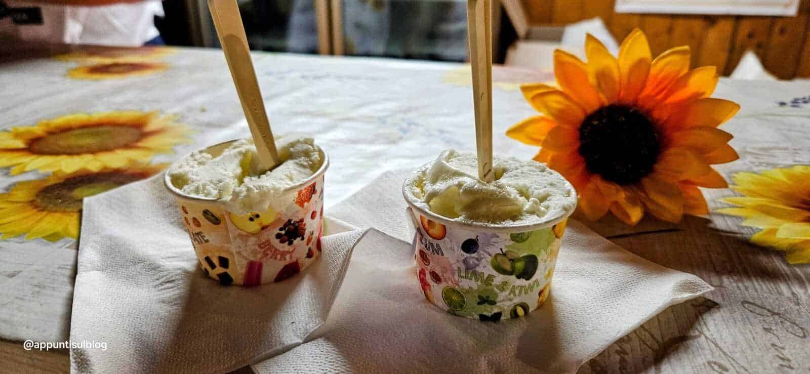 Deliziose coppe di gelato su tovaglioli di carta con fiori di girasole sul tavolo in stile rustico.