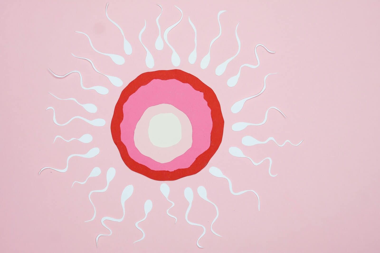 Sperma e ovulo stilizzati, rappresentazione artistica di concepimento, su sfondo rosa chiaro, simbolo di fertilità e riproduzione, ideale per contenuti di biologia o fertilità.
