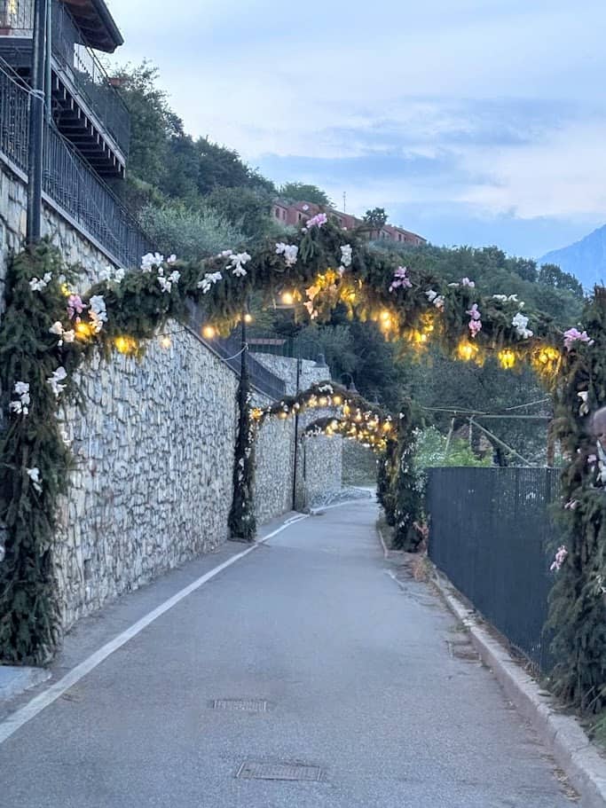 Festa dei fiori a monte isola: Miglior filename: strada-guarnita-luci-nascoste-arte-floreale.jpg.