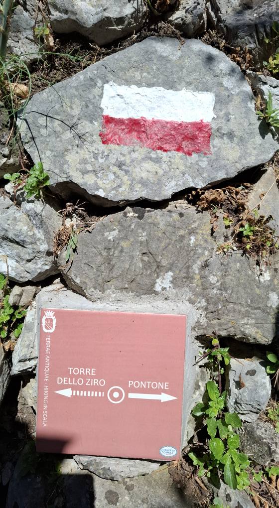 Perché visitare la Torre dello Ziro? 6 Blocchi di pietra con segnaletica turistica che indica il sentiero verso Torre dello Ziro e Pontone, tra vegetazione e roccia, segnali di orientamento a scopo turistico.
