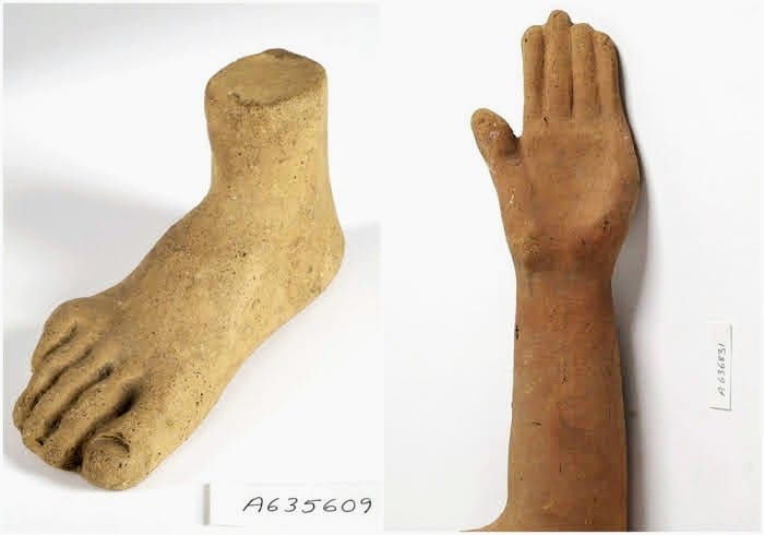 Trofeo antropomorfo in terracotta raffigurante un piede e una mano, esposto in un museo archeologico.