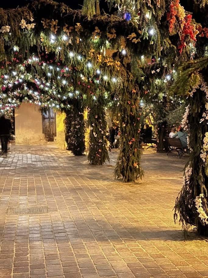Altezza: Alberi di Natale decorati con luci e fiori appesi in un villaggio notturno, atmosfera calda e festiva con persone che si rilassano su panchine, luci soffuse e atmosfera natalizia.