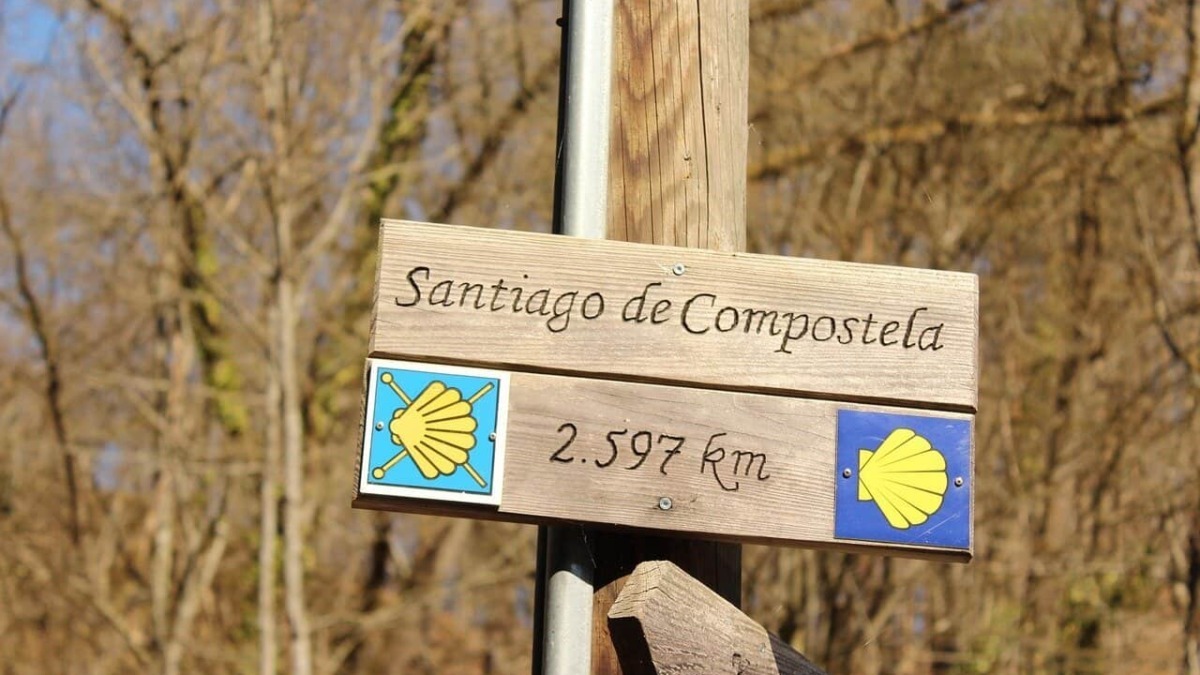 Saggio di legno con segnale escursionistico per il Cammino di Santiago, indicante 2.597 km, immerso in un bosco autunnale con alberi spogli.