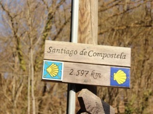 Saggio di legno con segnale escursionistico per il Cammino di Santiago, indicante 2.597 km, immerso in un bosco autunnale con alberi spogli.