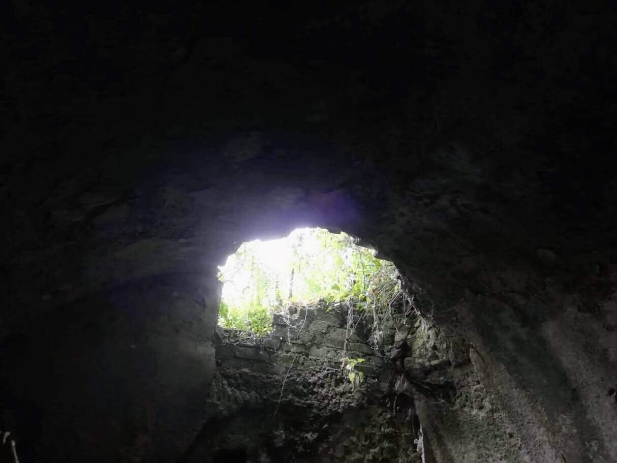 Foro di pietre con aperture naturale, vegetazione che cresce oltre l'ingresso, ambiente sotterraneo, esplorazione di tunnel antichi, avventura e scoperta archeologica.