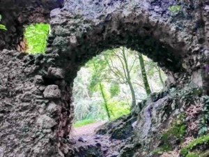 Antica struttura in pietra con dentro un paesaggio di bosco e alberi verdi, avvolta in un’atmosfera di natura e storia, ideale per appassionati di escursioni e archeologia.