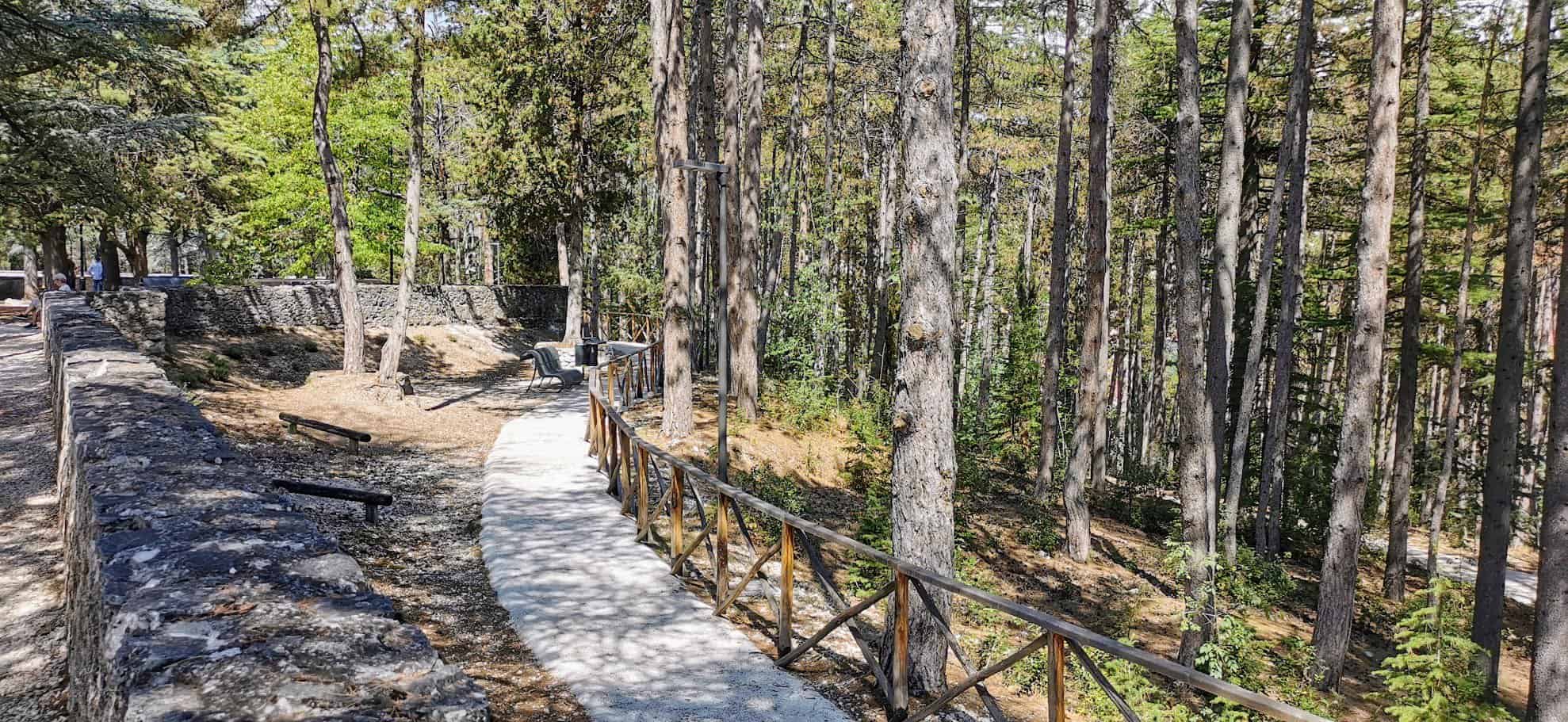 Via degli Dei in autunno: Sentiero nel bosco tra alberi verdi e panchine, ambiente naturale e tranquillo, escursioni all'aperto, natura, trekking, passeggiata nella natura, paesaggi boschivi.