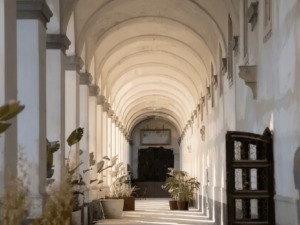 Chiostro architettonico con arcate storiche, natura e luce, ideale per foto e relax.