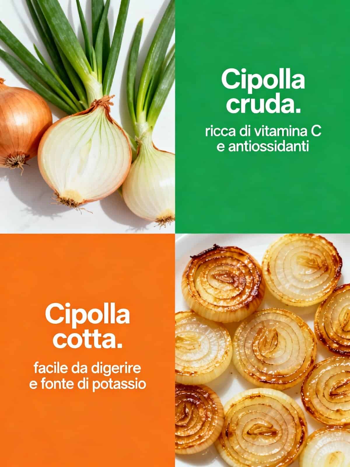 cipolla cruda e cotta, ricche di vitamine, antiossidanti e potassio, ideali per una dieta sana e gustosa, ottimi nelle ricette e facili da digerire.