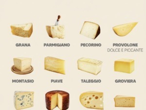 Scopri una vasta gamma di formaggi naturali senza lattosio, tra cui Grana, Parmigiano, Pecorino, Provolone, Montasio, Piave, Taleggio, Groviera, Castello e Bitto, ideali per diete senza lattosio.
