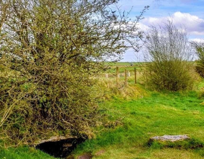 Paesaggio rurale con cespugli, prato verde e cielo nuvoloso, ideale per contenuti sulla natura e il relax all'aperto.