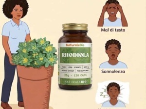 Rhodiola Rosea fa davvero bene alla salute?