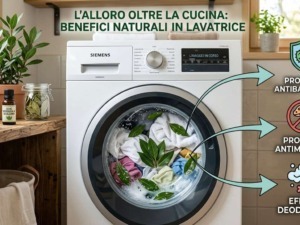 A cosa serve l'alloro in lavatrice, trucco della nonna