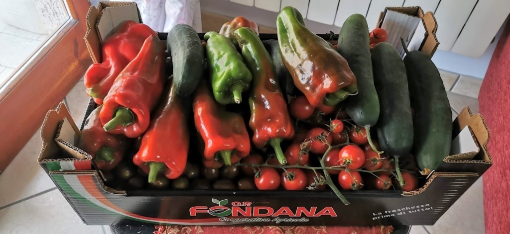 Verdure di stagione da mangiare a settembre