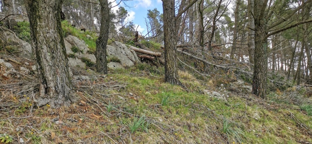 Il piacere di camminare nella natura
