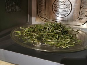 Rametti di rosmarino essiccato