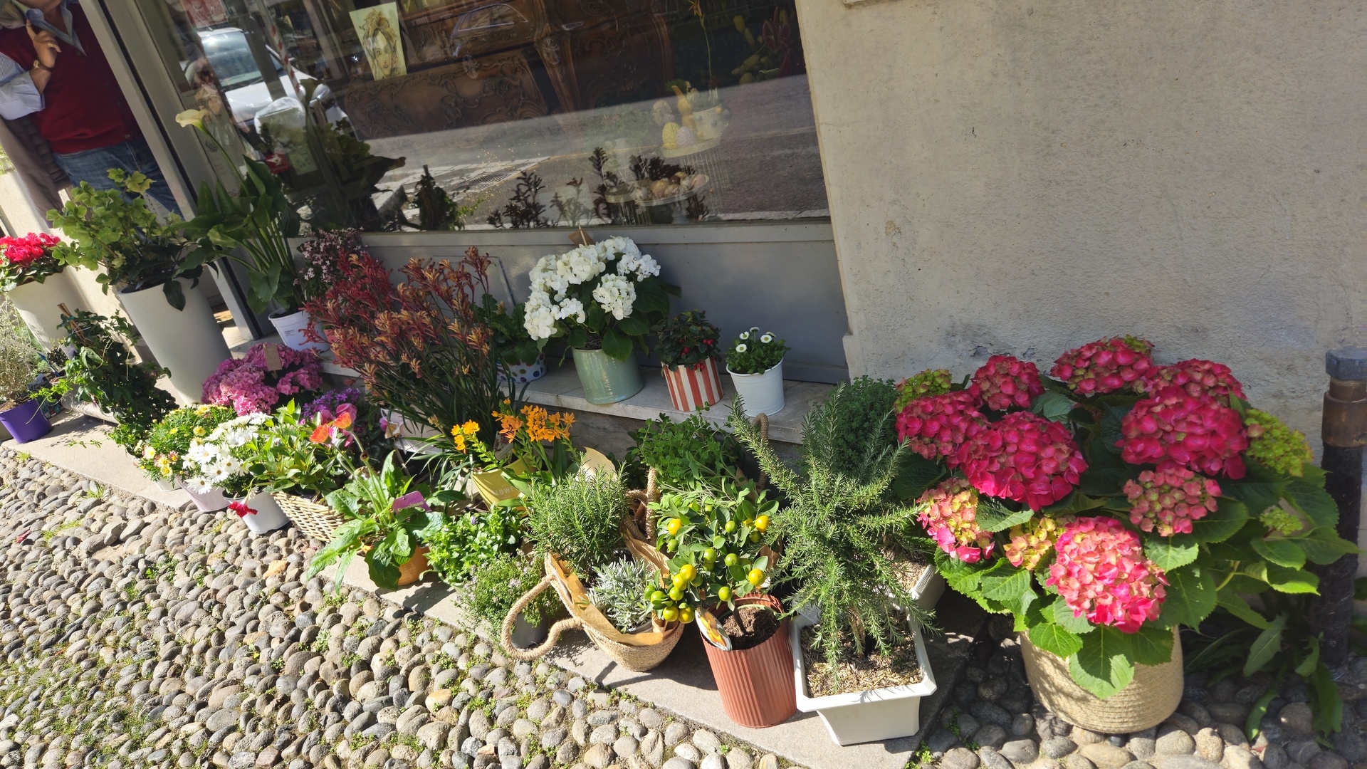 Piante perenni da potare in autunno: quali tagliare e quali lasciare intatte 2 Quali piante perenni si possono potare in autunno