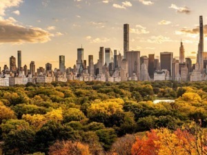 Panoramica dello skyline di Manhattan e Central Park a New York