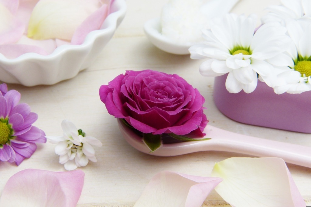 Cosmetici bio, cosa cambia davvero nella cura quotidiana della pelle 2 Cosmetici bio, cosa cambia davvero nella cura quotidiana della pelle