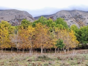 dove andare in autunno: paesaggio di montagna con colori autunnali