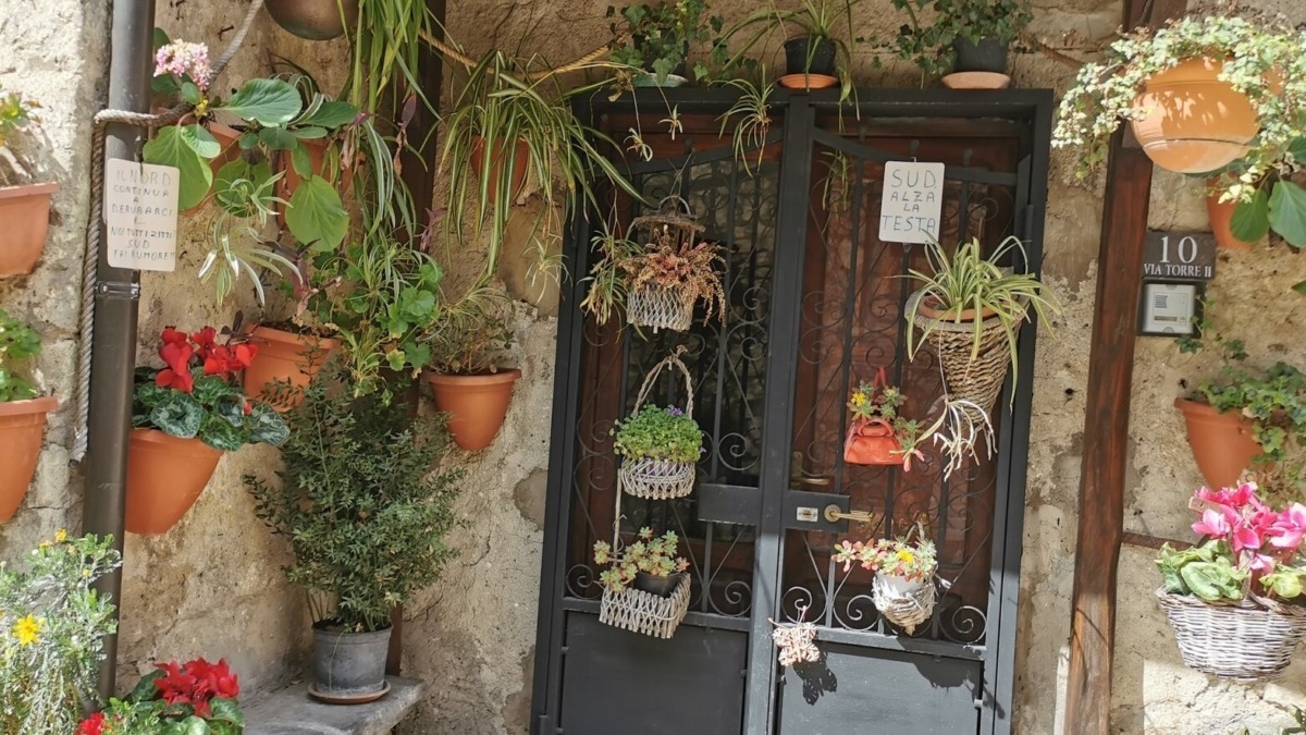 Le piante sono verdi?