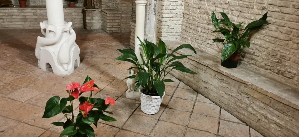 Le piante sono davvero verdi? Ecco da dove arrivano i loro colori 3 Perché in autunno le foglie cambiano colore?