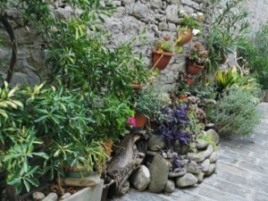 piante perenni da potare in autunno